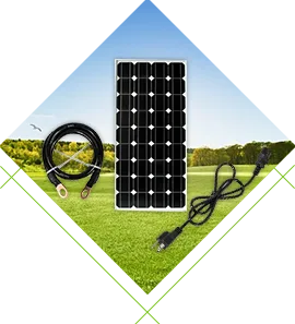 အပေါင်းပါ